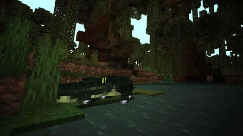 aligator 1 1
