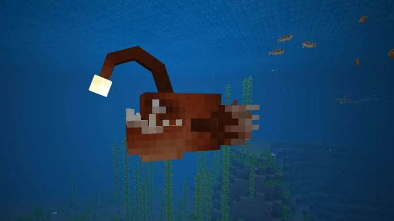 anglerfish 1