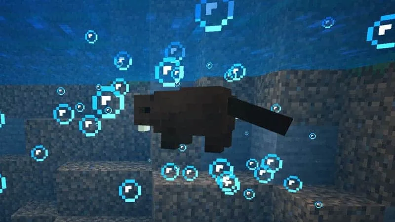 beaver 1