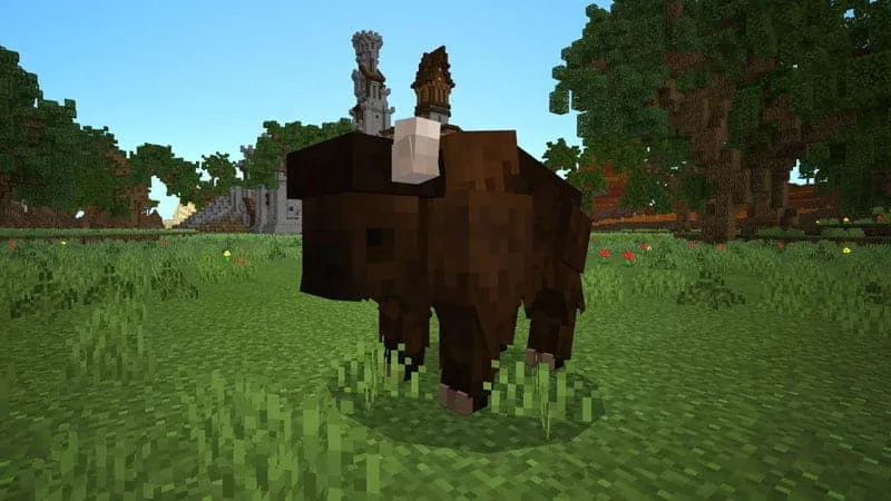bison 1