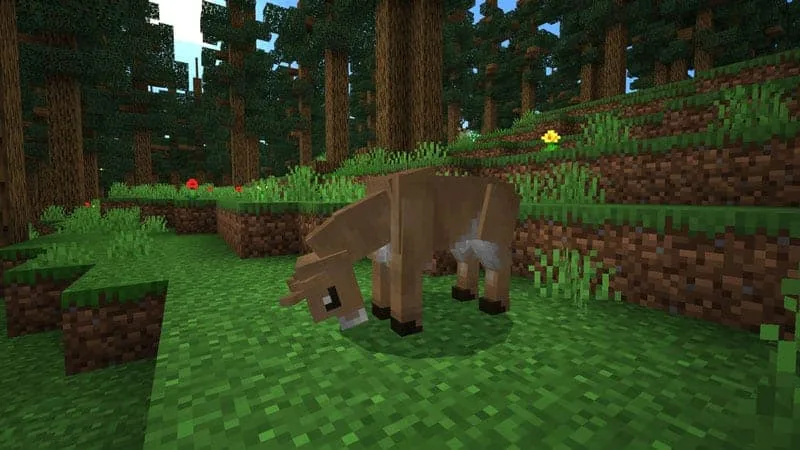 doe 1
