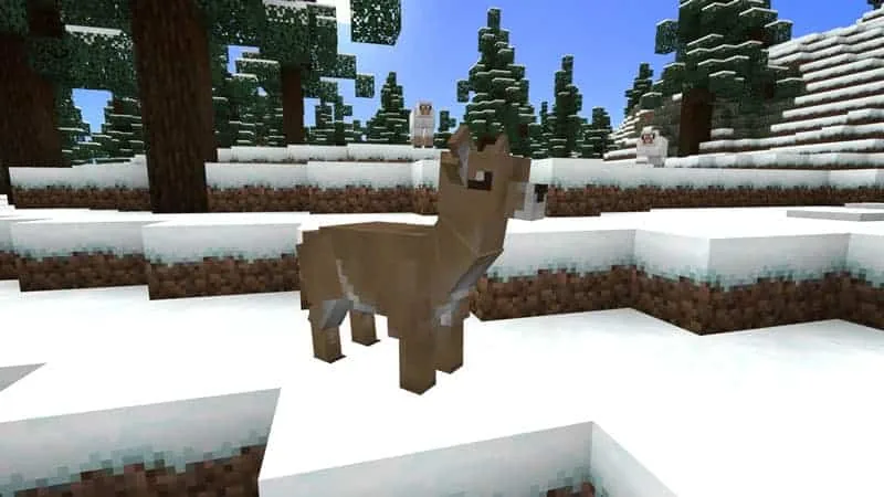 doe taiga 1