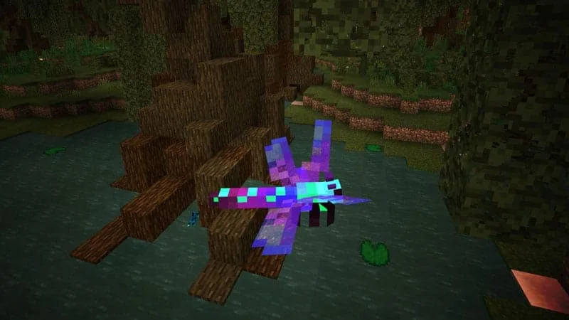 dragonfly 1