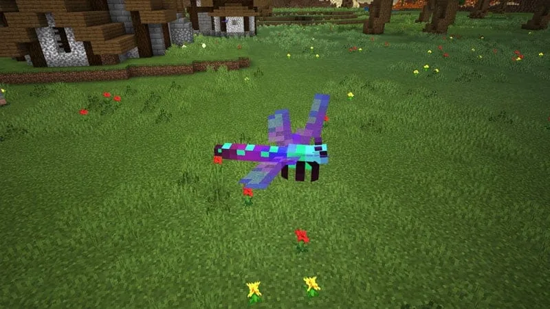 dragonflyplains 1