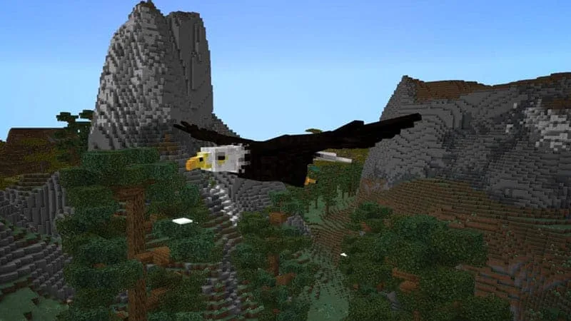 eagle 1