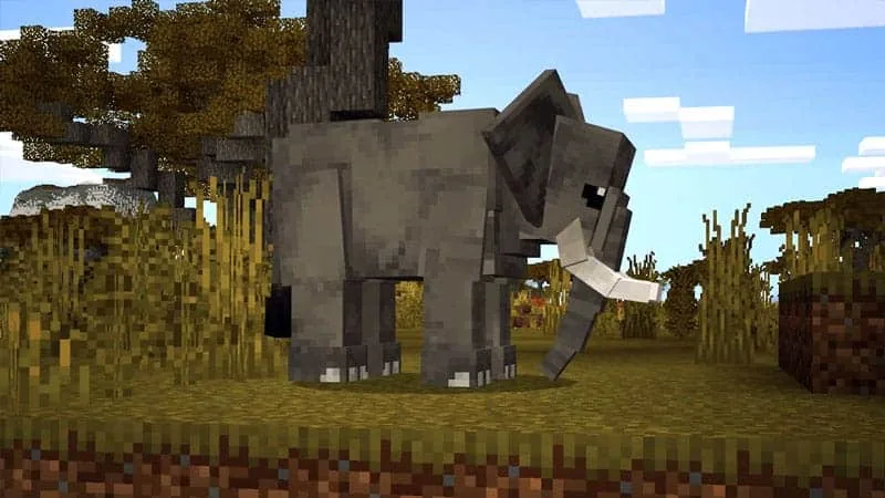 elephant 1