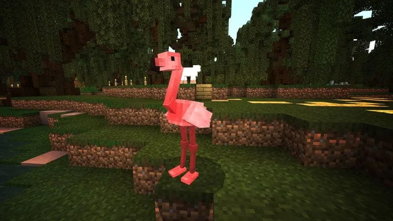 flamingo 1
