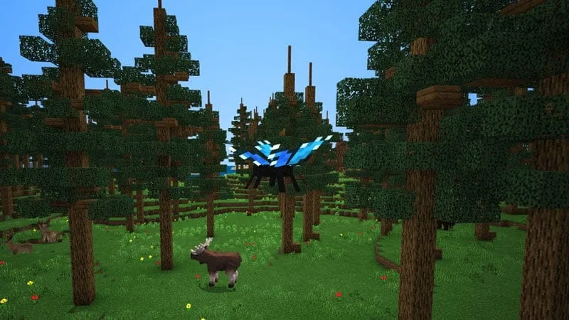 forest butterfly 1