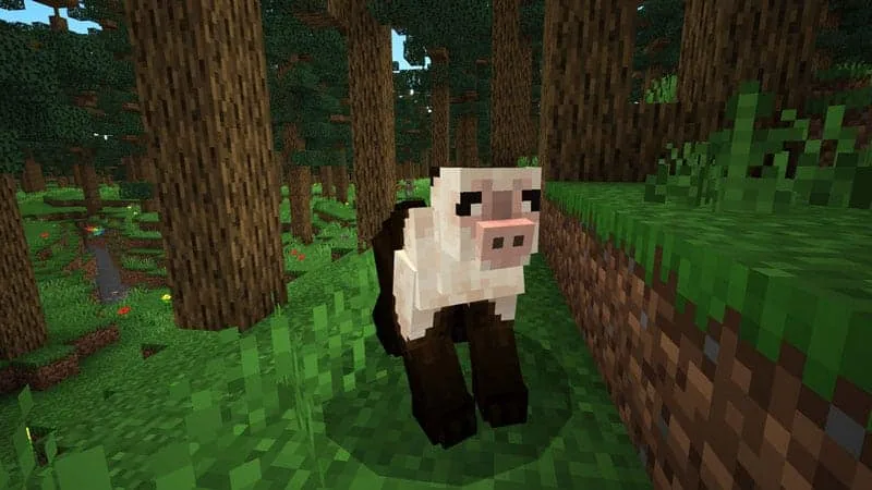 forest monkey 2
