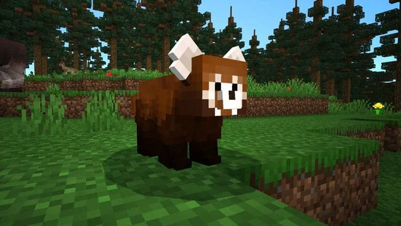 forest red panda 1