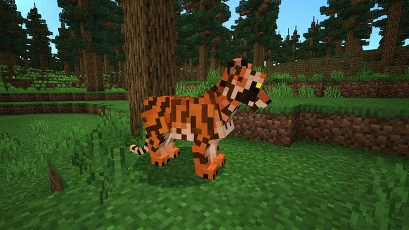 forest tiger 1
