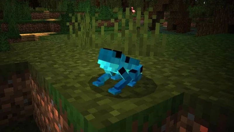 frog 1