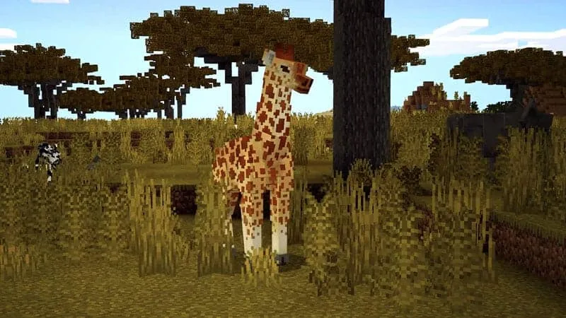 giraffe 1