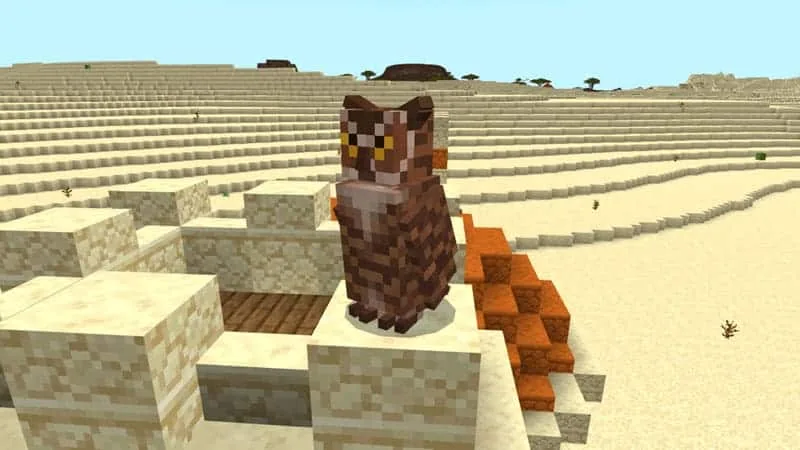hornedowl desert 1