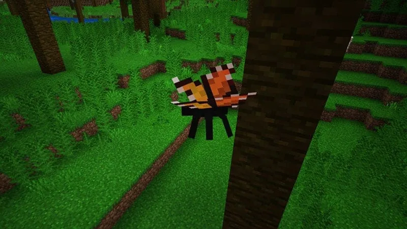 jungle butterfly 1