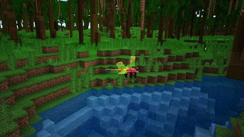 jungle dragonfly 1