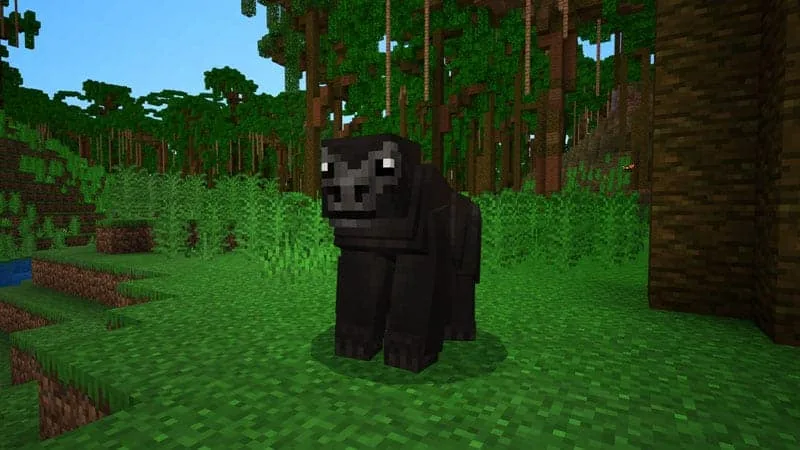 jungle gorilla 1