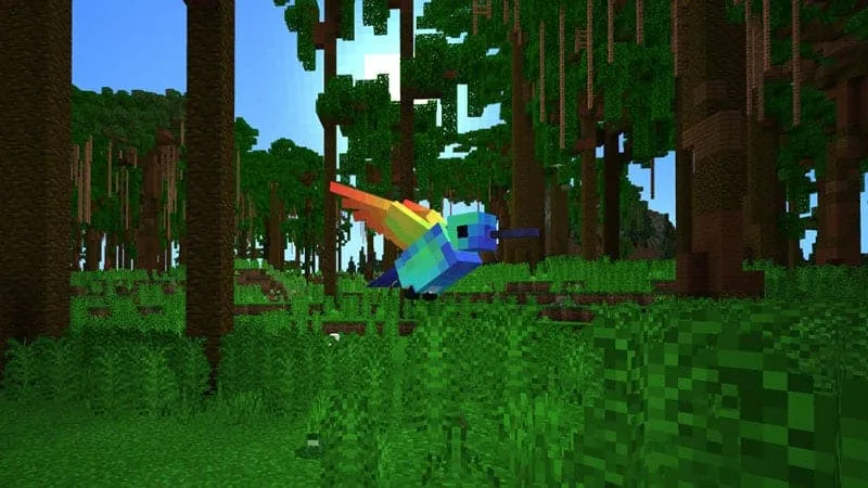 jungle hummingbird 1