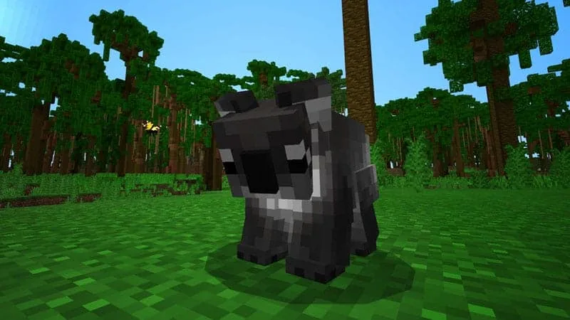 jungle koala 1