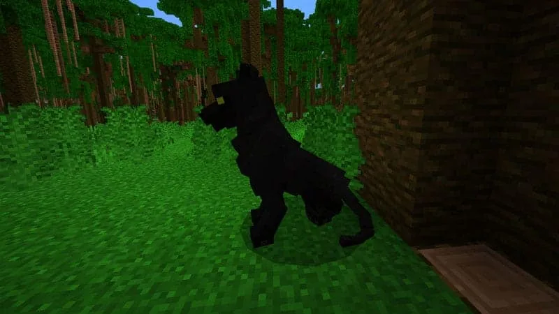 jungle panther 1