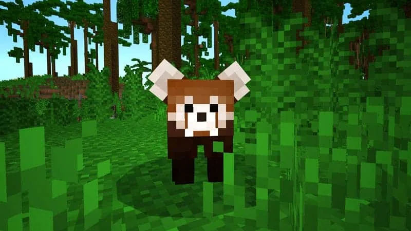 jungle redpanda 1