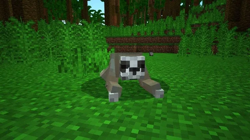 jungle sloth 1