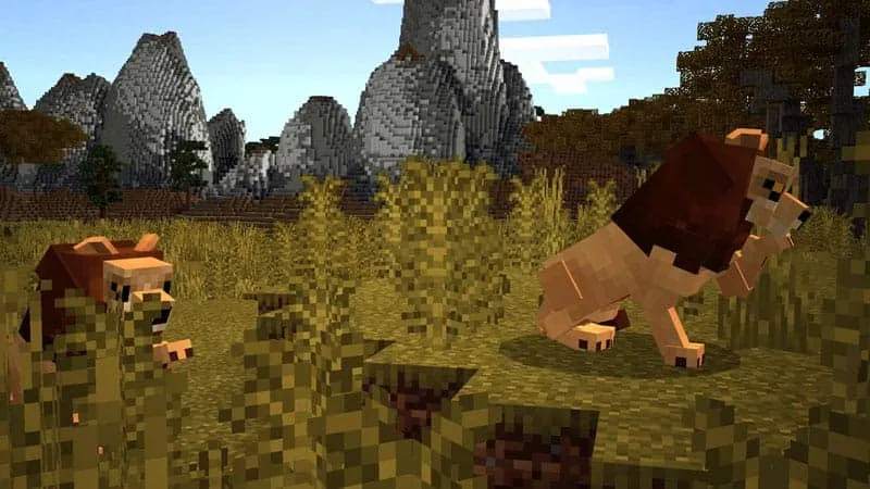 lion 1