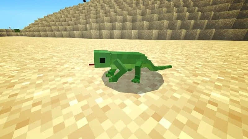 lizarddesert 1