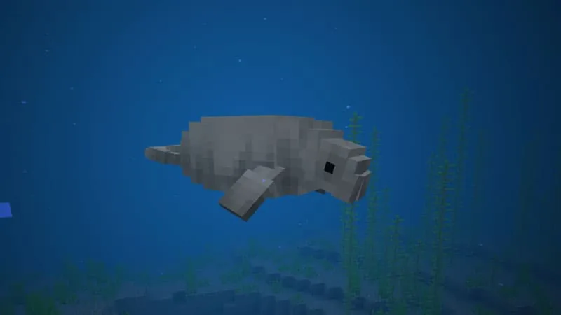 manatee 1