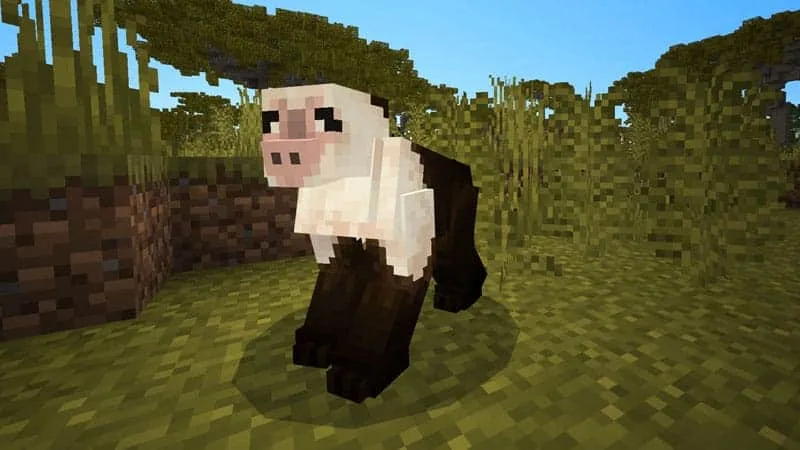 monkey 1
