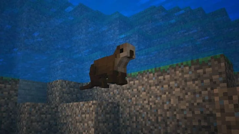 otter 1