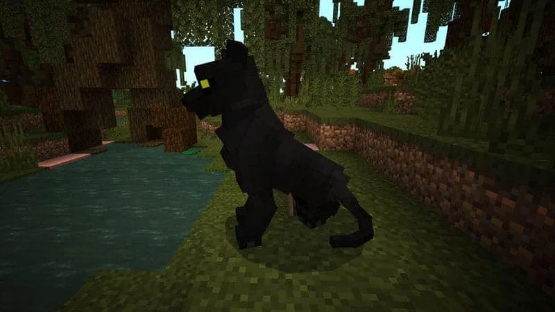 panther 1