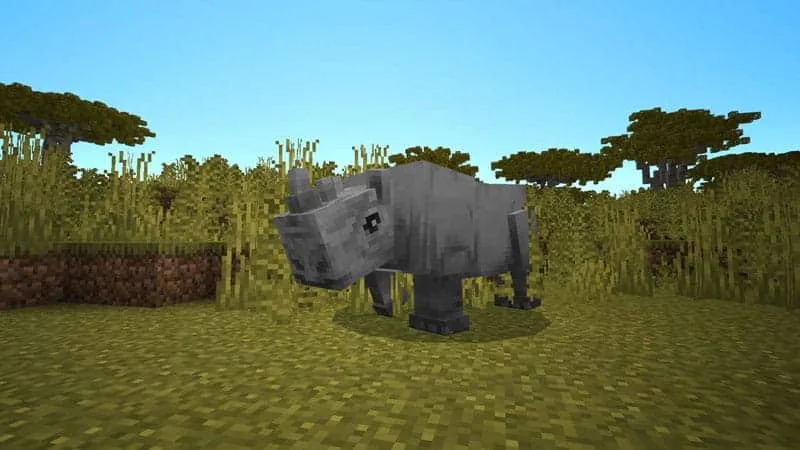 rhino 1