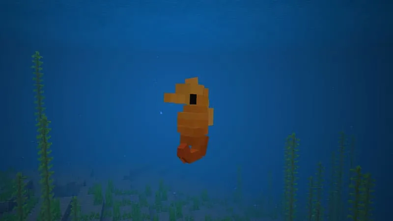 seahorse 1
