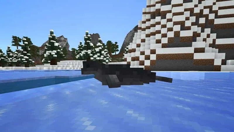 sealfrozen 1