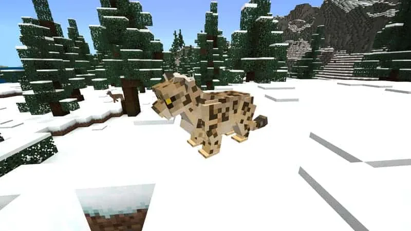 snowleopard 1 1