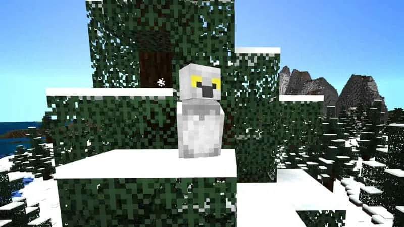 snowyowl 1