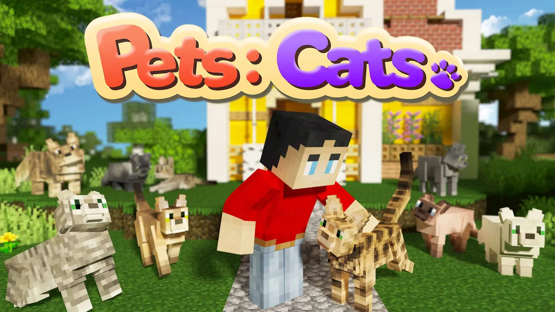 Pets Cats MarketingKeyArt