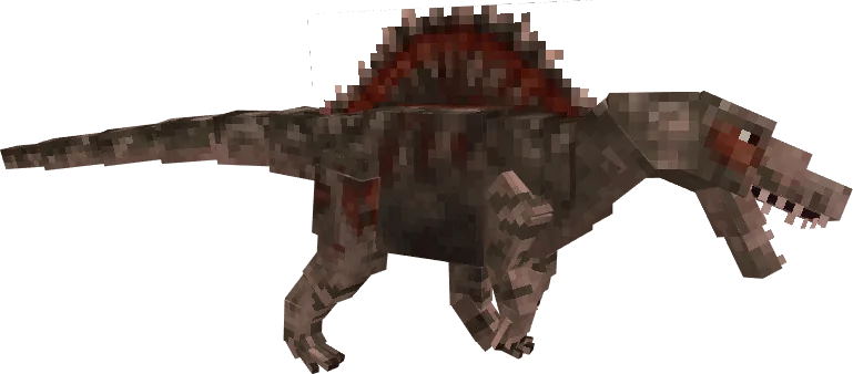 pose spino 1