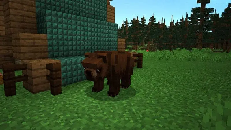 Animals Guide 160 bear 1