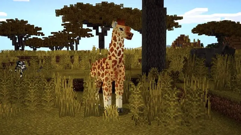 Animals Guide 205 giraffe 1