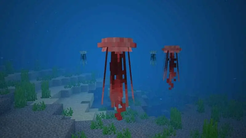 Animals Guide 190 jellyfish 1