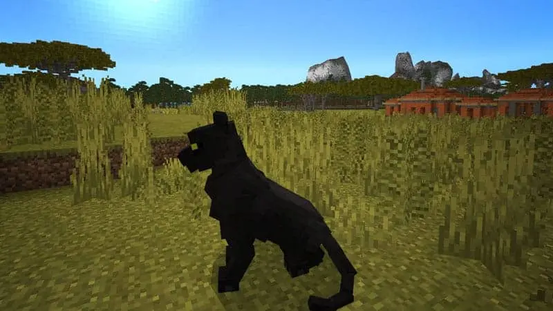 Animals Guide 211 panthersavannah 1